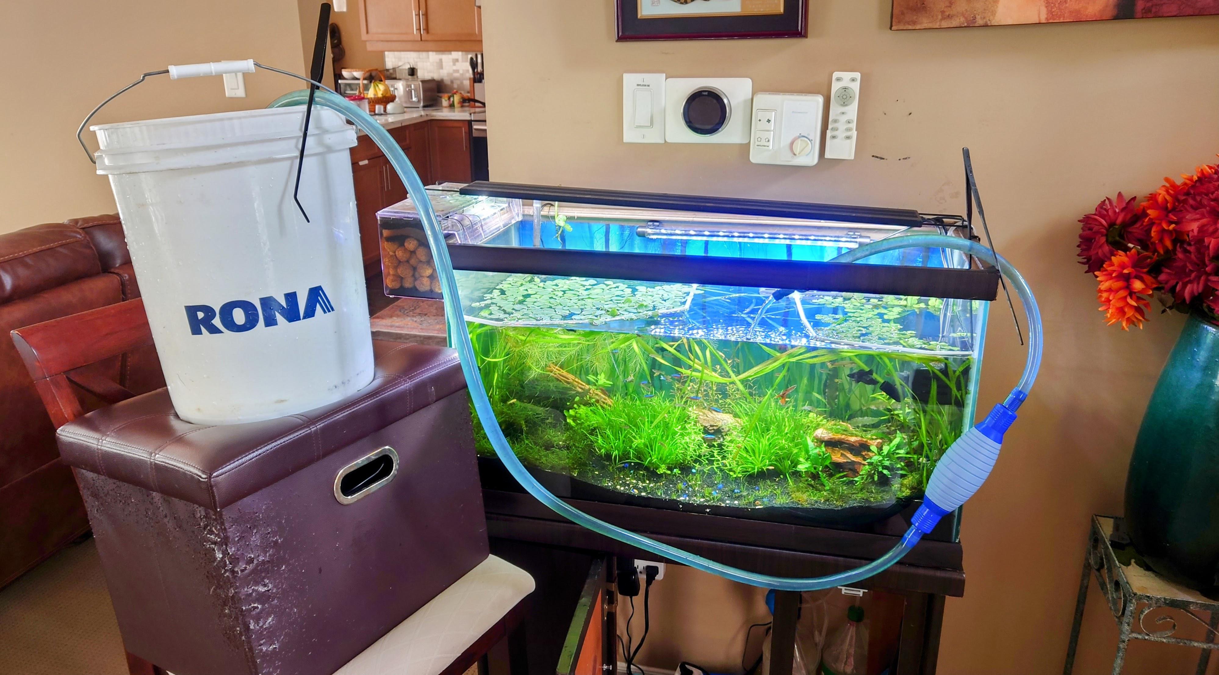 A partially replanted freshwater aquarium being slowly refilled with dechlorinated water from a bucket while a sponge filter bubbles nearby
